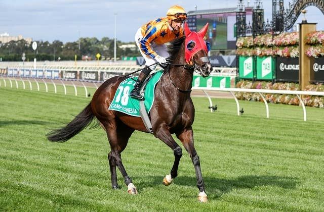 NZの6歳牝馬カンピオネッサが重賞3連勝、ザビールクラシックでG1初制覇