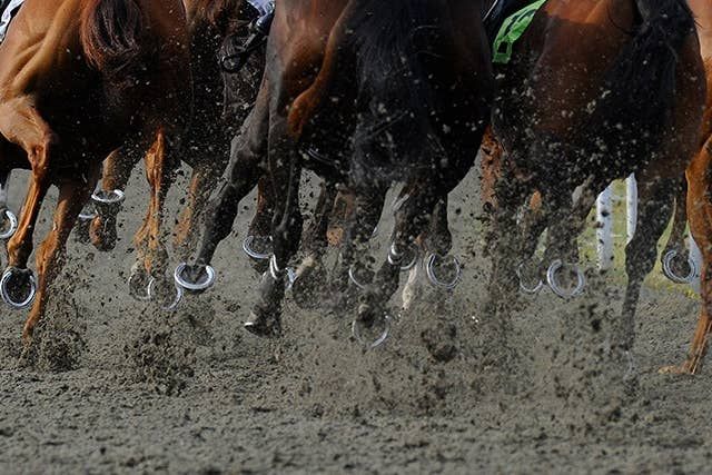 ゴドルフィンのタリファ、米G2フェアグラウンズオークスで重賞連勝（JRA-VAN Ver.World）｜ｄメニューニュース（NTTドコモ）