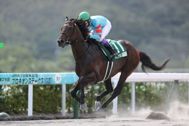 プロキオンS】武豊ヤマニンウルスが無傷の5連勝（競馬のおはなし）｜ｄメニューニュース（NTTドコモ）