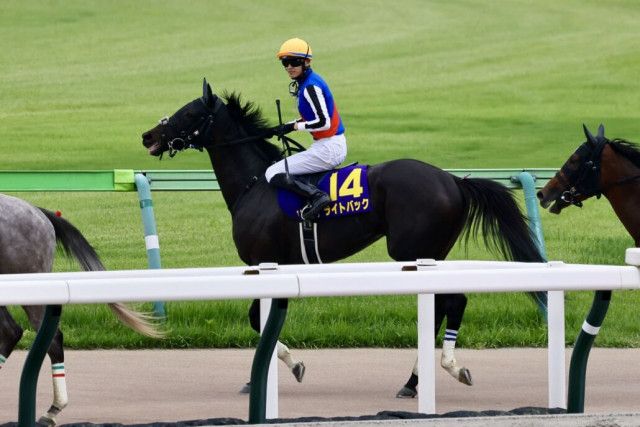 最高 ライト開発 競馬アンサー2