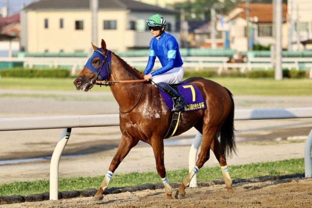 南部杯】坂井瑠星レモンポップは1枠1番へ（競馬のおはなし）｜ｄメニューニュース（NTTドコモ）