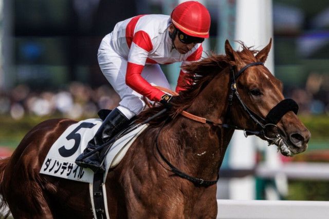 菊花賞】ダービー馬・ダノンデサイルは2枠4番（競馬のおはなし