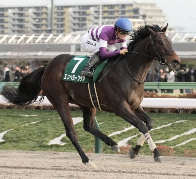 武蔵野S登録馬】エンペラーワケアなど18頭（競馬のおはなし）｜ｄメニューニュース（NTTドコモ）