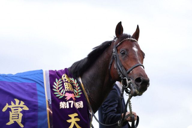 ドウデュースが1位…有馬記念ファン投票 第1回中間発表（競馬のおはなし）｜ｄメニューニュース（NTTドコモ）