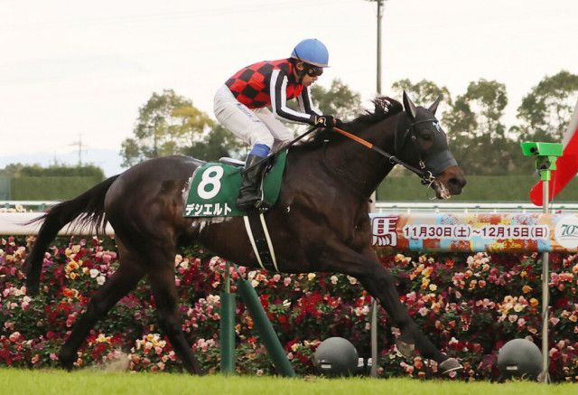 中日新聞杯】デシエルトが鮮やかな逃げ切りV…重賞初制覇（競馬のおはなし）｜ｄメニューニュース（NTTドコモ）