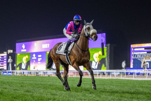 【競馬】メイショウタバル（2025年宝塚記念）ミニゼッケン／武豊／JRA 2025年 宝塚記念 JRA