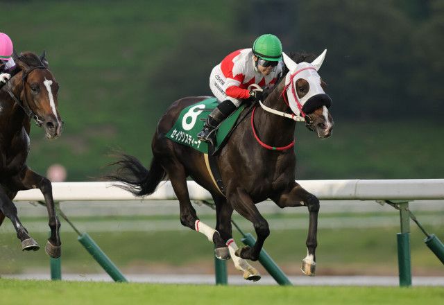 阪神タイガース　広澤克実　毎日新聞　2003 パネル 阪神タイガース 広澤克実 毎日新聞 2003 パネル 広澤克実