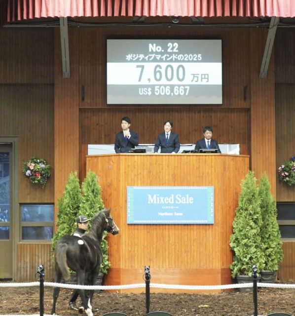 ミックスセール2025】イクイノックス産駒3頭目は7600万円（競馬