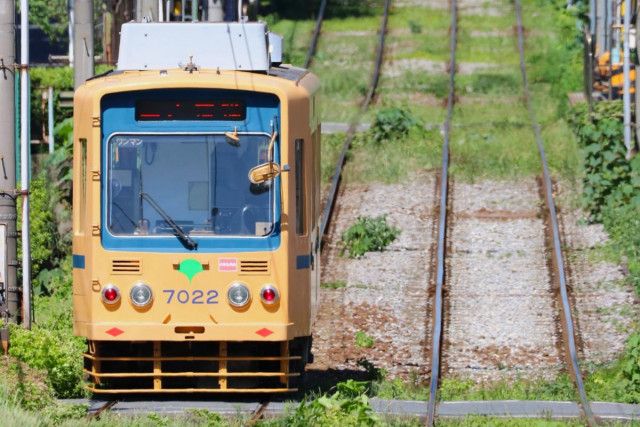 東京の橋で「都電の廃線跡」が発掘!? 懐かしの線路「見学会」開催へ！ 架け替え工事で「冨坂線 」奇跡の発見（くるまのニュース）｜ｄメニューニュース（NTTドコモ）