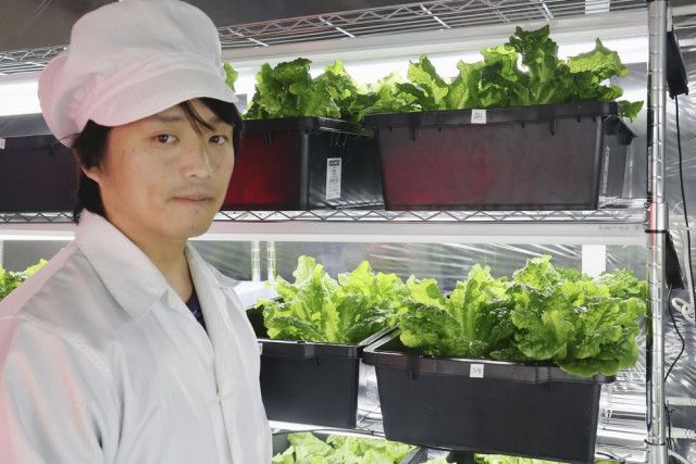 水産が盛んな島で「農業を産業に」　北海道・利尻　36歳男性が野菜栽培