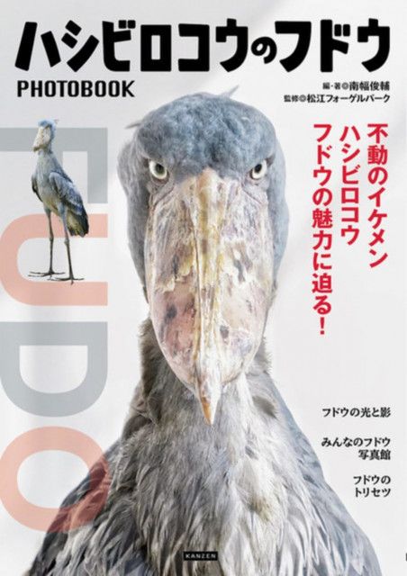 ハシビロコウの写真集刊行　松江の「フドウ」がモデル