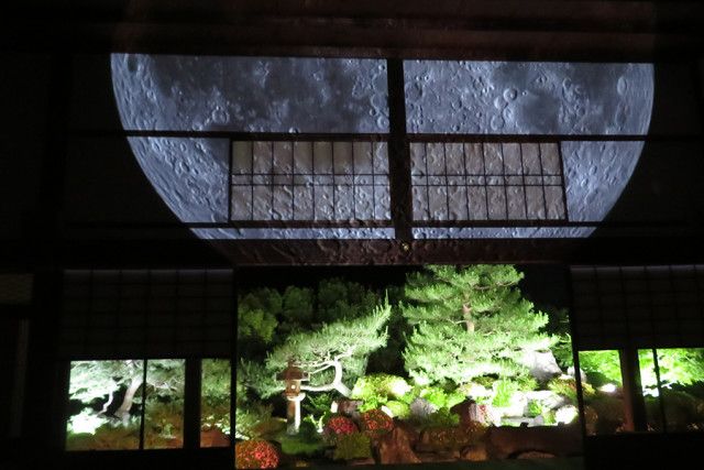 幻想的な京都の寺で「星空観望会」、今年は限定の御朱印も