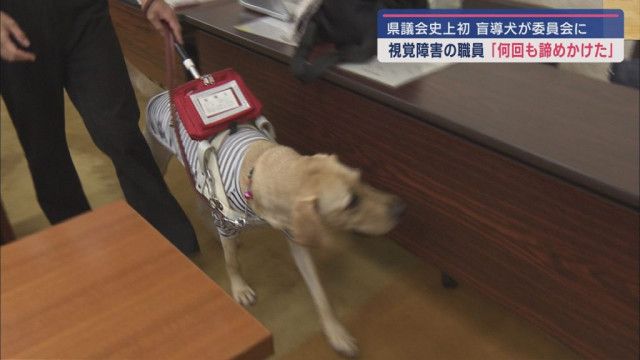 視覚障害のある静岡県の職員とともに盲導犬が県議会の委員会に出席　審議中足元で静かに待機