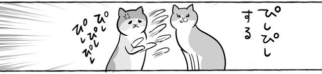 【漫画】ガーラさんにお姉さん猫がいた！　関係を描いた漫画に「どっちも特徴あってカワイイ」