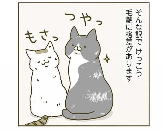 めんどくさい子」。もじもじする愛猫が「やってほしかったこと」は／うちの猫がまた変なことしてる。（毎日が発見ネット）｜ｄメニューニュース（NTTドコモ）