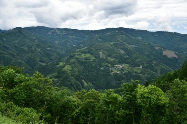 災害強い山林づくり期待　宮崎県再造林条例成立　県民の意識醸成後押し