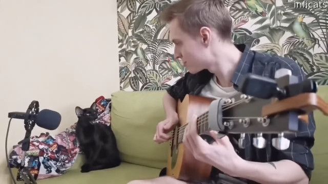飼い主のギターに合わせて歌う猫、哀愁漂う黒猫ブルース（猫