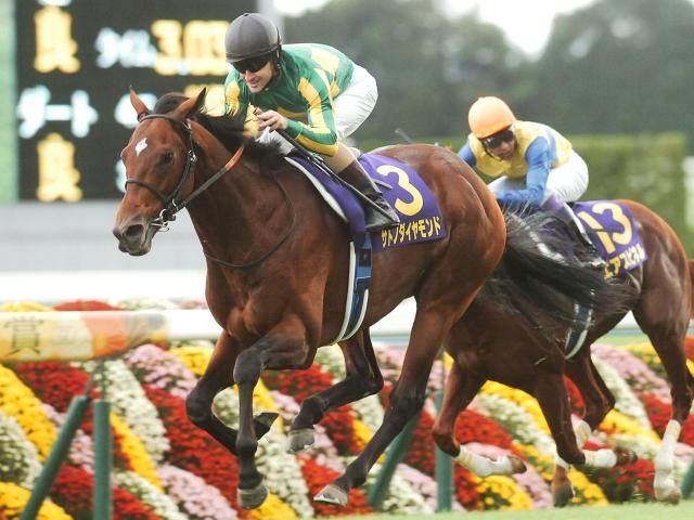 新・京都競馬場で活躍中の血統を紹介 父仔ともに淀を得意としているの