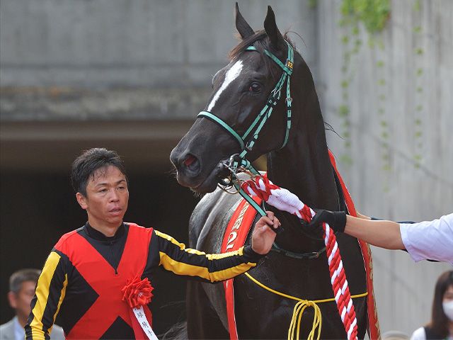 競馬 キタサンブラック 菊花賞 北村宏 サイン 写真 - スポーツ選手