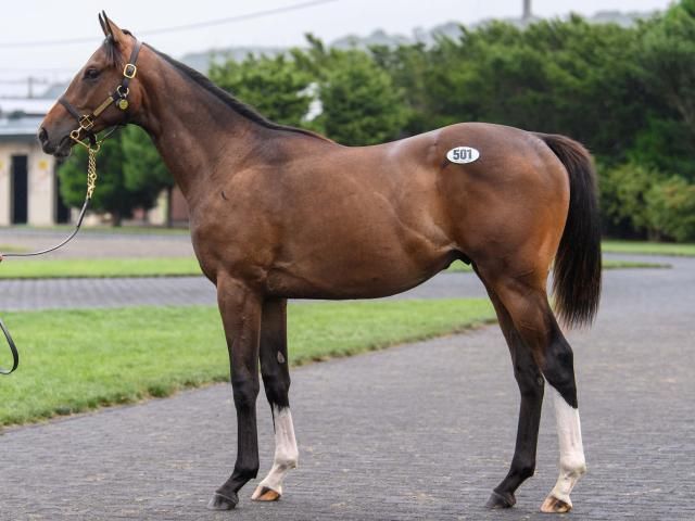 HORSE OF THE つまん YEAR 2023】イクイノックス ゴルフ 未使用