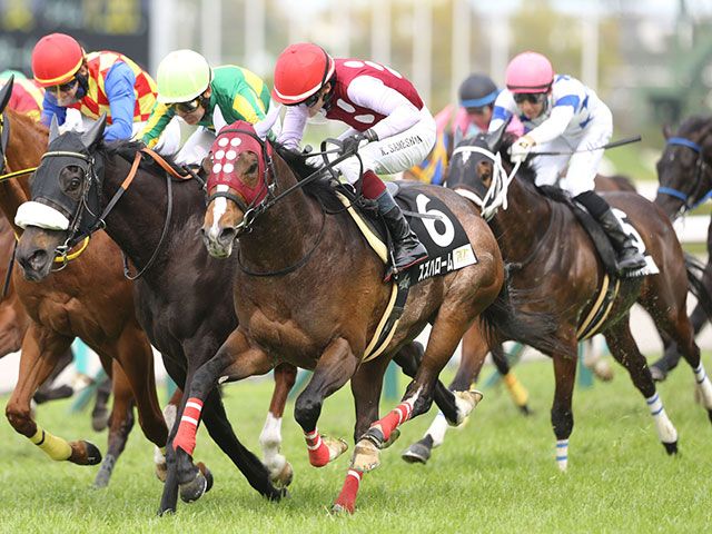 CBC賞予想】豊富なキャリアが武器となる一戦 経験が浅い馬は前走の結果に注目（netkeiba）｜ｄメニューニュース（NTTドコモ）