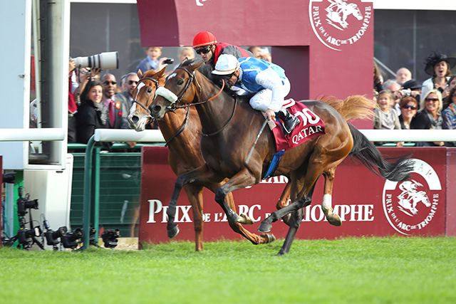 勝ち馬が2頭いた」と称えられた馬も… 凱旋門賞で頂点をつかみかけた日本馬3頭（netkeiba）｜ｄメニューニュース（NTTドコモ）