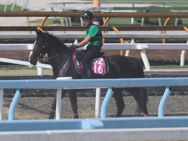 新馬戦 メイクデビュー東京 ボンドガール 現地的中 通常版 - 競馬