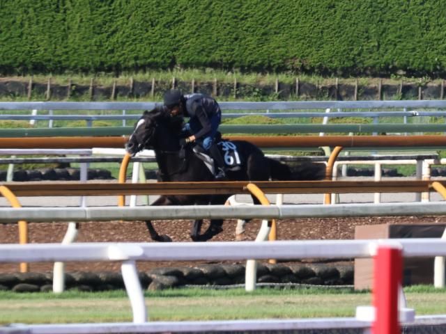 小売業者 新馬戦 メイクデビュー東京 ボンドガール 現地的中 通常版