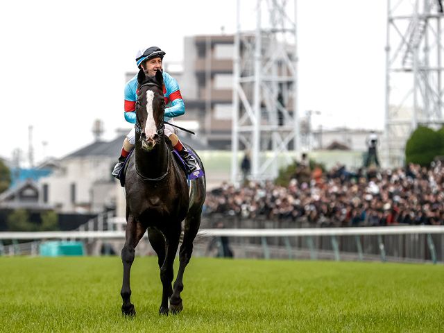 ジャパンC指定席は最高倍率「29.7倍」世界から強豪馬参戦でプラチナチケットに（netkeiba）｜ｄメニューニュース（NTTドコモ）