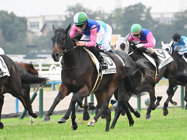 京都5R新馬戦結果】10番人気のメイショウタマユラが差し切りV（netkeiba）｜ｄメニューニュース（NTTドコモ）