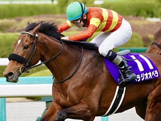 Amazon.co.jp: ベラジオオペラJRA競走馬宝塚記念 スポーツ新聞2