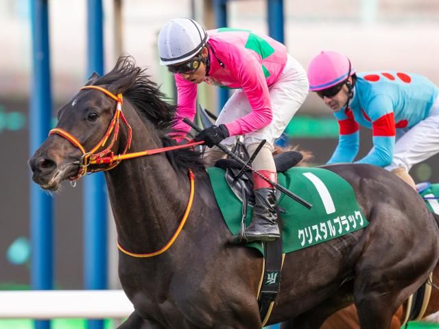 宝くじ感覚馬券のクイックピックの買い方 | 馬艇☆ライブのブログ