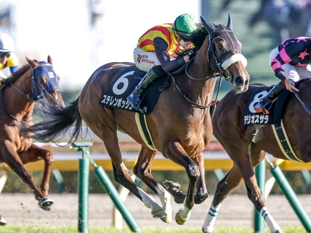 ヴィクトリアM見どころ】ステレンボッシュが2つ目のGI奪取を狙う