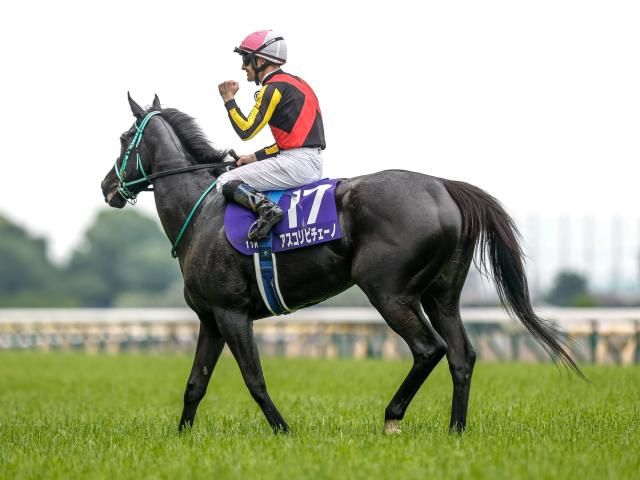 【通販 人気】 ドバイラグビーセブン (3 W（財界さっぽろのバックナンバー 2011 コレクション