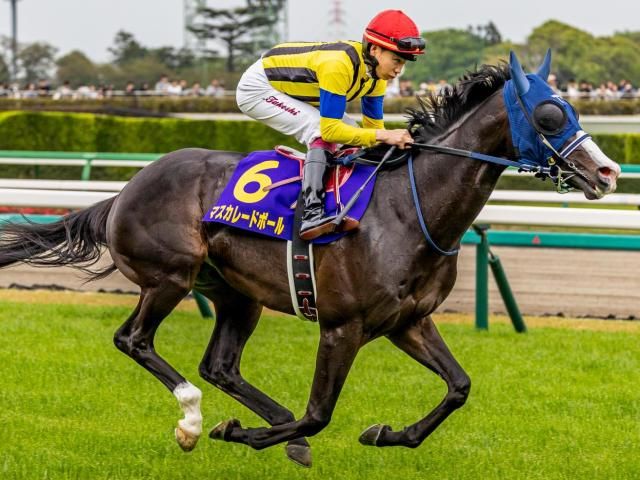 ついに今年生まれるか 史上初の父仔3代日本ダービー制覇へ8頭が