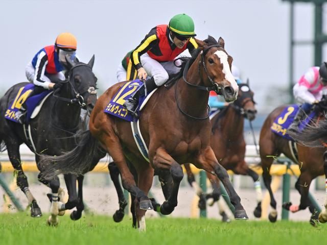 しらさぎS・馬体重】チェルヴィニアは484kg、シヴァースは458kg
