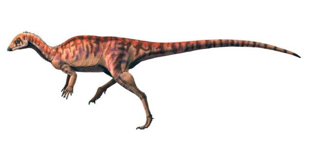 中国・貴州省で前期ジュラ紀の重要な恐竜足跡群を発見（新華社通信