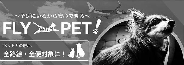 コロナ禍から驚異の回復をみせたスターフライヤーが、ペットと一緒の空の旅を提供。革新的なサービス「FLY WITH  PET！」を全路線に拡大した理由と今後の計画とは（OneNews）｜ｄメニューニュース（NTTドコモ）