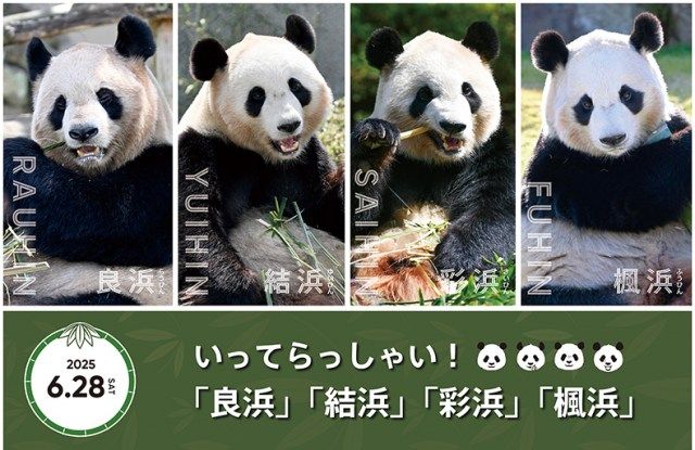 パンダ様の22日取り置き