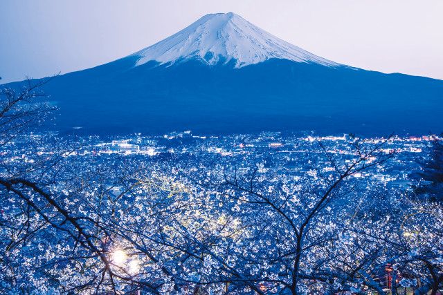 お花見はどこに行く？ 夜景評論家 丸々もとおさんの「とっておきの夜桜」5選（さんたつ by 散歩の達人）｜ｄメニューニュース（NTTドコモ）