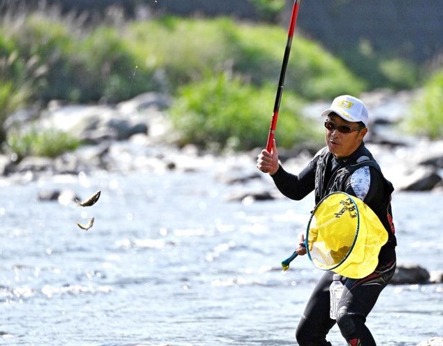 釣り人待望「毎年この日を楽しみに」  アユ釣り解禁　島根県西部の清流・高津川水系