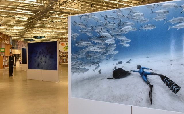 図書館に広がる海の世界「水族表現家」二木さんが写真展　那須塩原市内で初