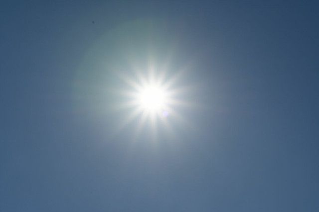 熱中症の疑いで県内12人搬送　佐野で36.7度の猛暑日、全国９位の暑さに