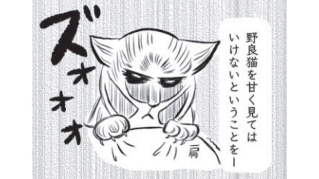 保護ネコ漫画あり】血だらけ狂暴ネコ“足湯さん ”との戦い。警戒心むきだしだった彼が家族となり、どんどん甘えん坊になっていくまで（集英社オンライン）｜ｄメニューニュース（NTTドコモ）