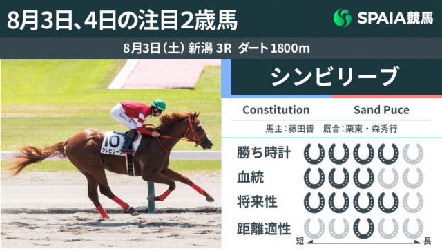 注目2歳馬】Constitution産駒シンビリーブが5馬身差V  ハイペースでもラストは加速しながら余裕十分の走り（SPAIA）｜ｄメニューニュース（NTTドコモ）