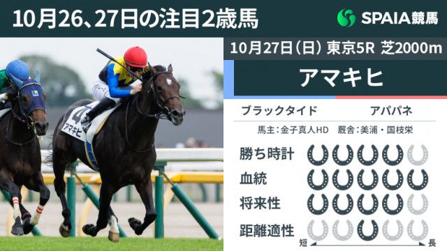 注目2歳馬】母アパパネの超良血アマキヒが新馬戦V  ラスト2Fは11.3-11.1、馬体を併せた追い比べで勝負根性を発揮（SPAIA）｜ｄメニューニュース（NTTドコモ）