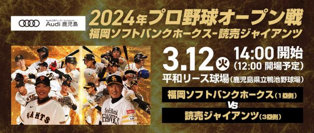 対阪神 外野自由席入場券2枚 漬ける オープン戦