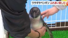 移動動物園　ウサギやペンギンにトカゲ　子供たちがふれあい楽しむ　静岡県