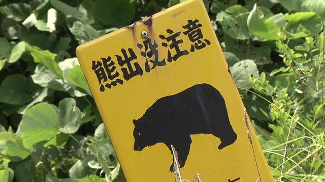 「住宅地付近にも出没」仙台市内でクマの目撃情報相次ぐ　