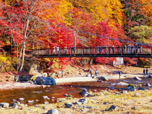 栃木県の紅葉名所♪ 北関東の美しい秋を楽しもう＜レジャー特集2023